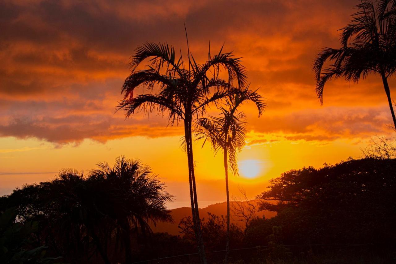 Sunset Monteverde Εξωτερικό φωτογραφία